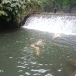 Family enjoying a refreshing swim beneath a tropical waterfall in Munduk, North Bali.