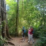Bali Twin Lake Jungle Trekking Tour