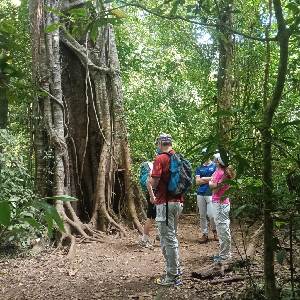 Bali Jungle Hiking at twin lake area