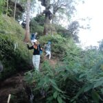 Group trekking toward Mt Sanghyang summit