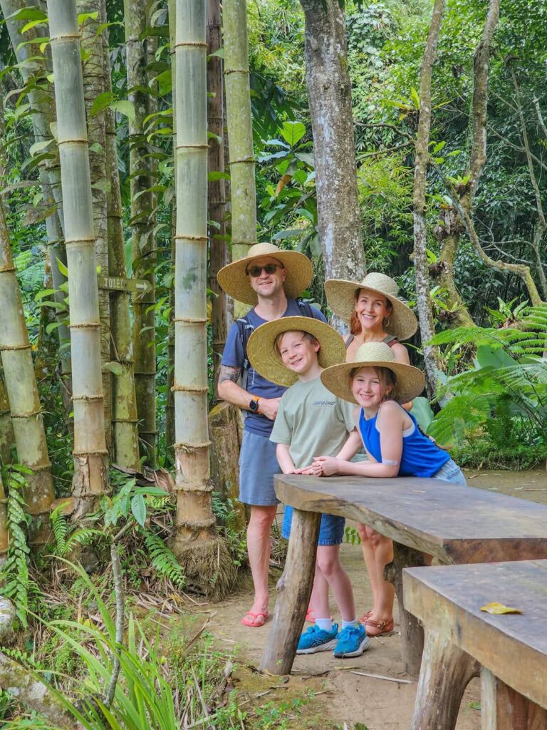 Discover Traditional Bali Through Local Villages, Rice Fields & Local Life