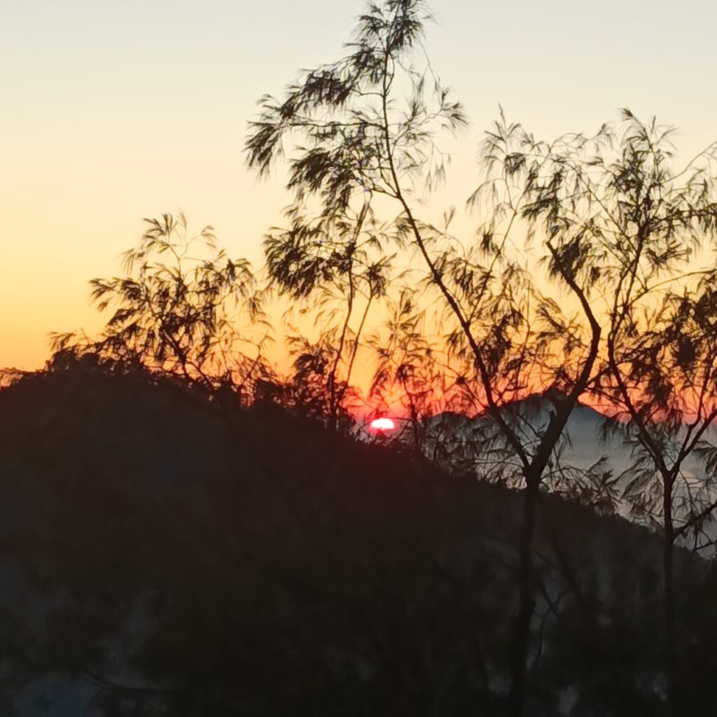 Bali Local Tour Guide - Mount Sanghyang Sunrise Trek