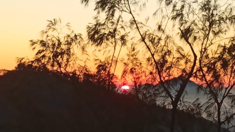 Bali Local Tour Guide - Mount Sanghyang Sunrise Trek
